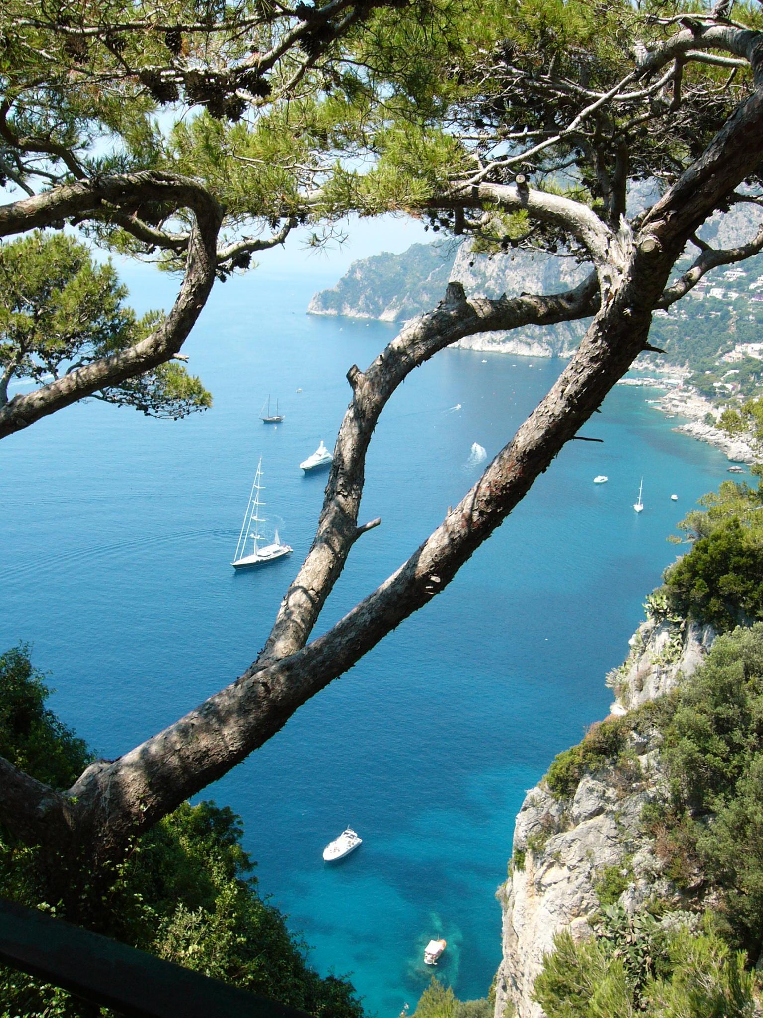 Paseo en lancha por Capri