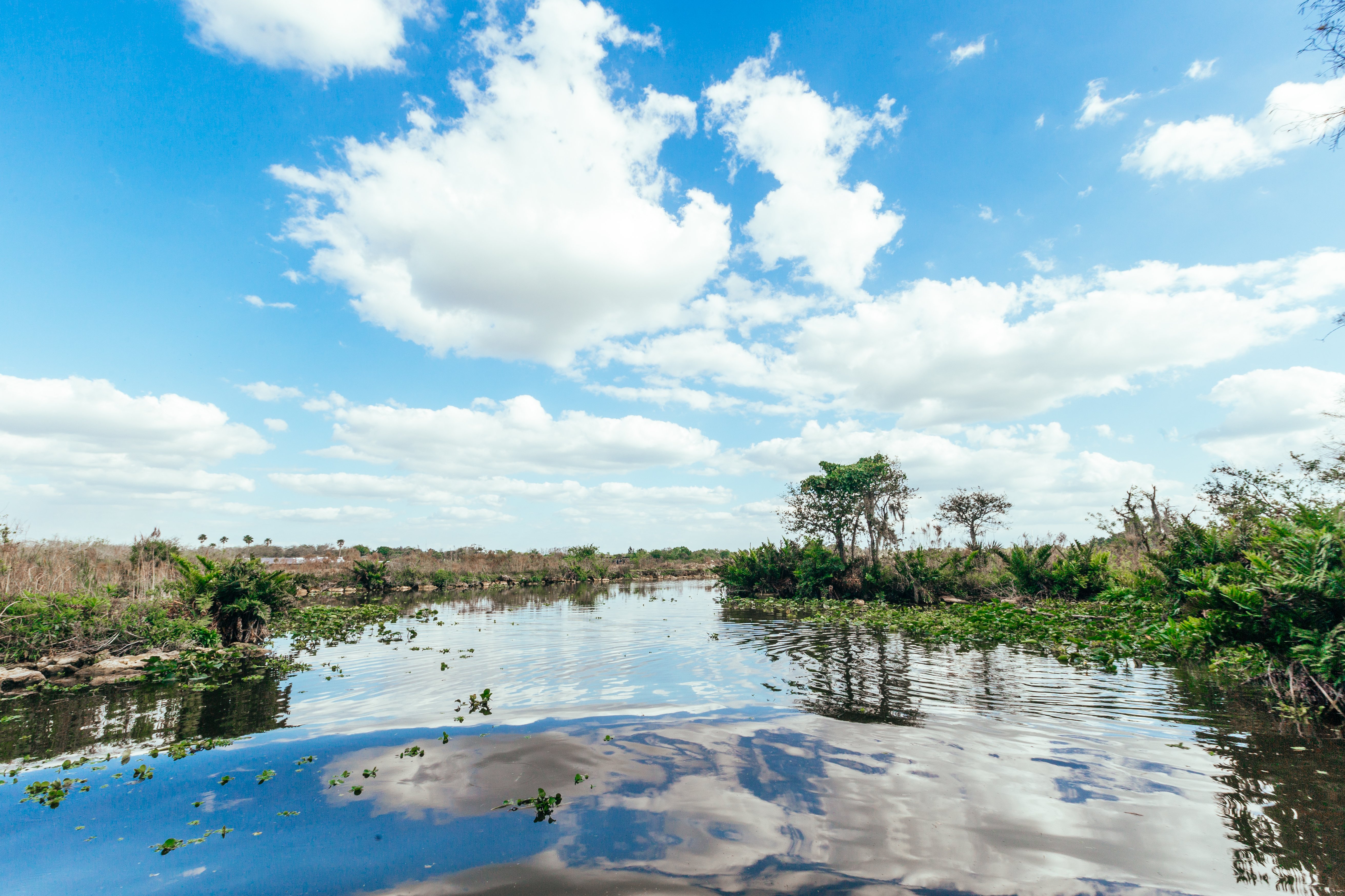 everglades