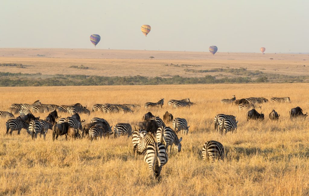 Globos aerostaticos en Masai Mara
