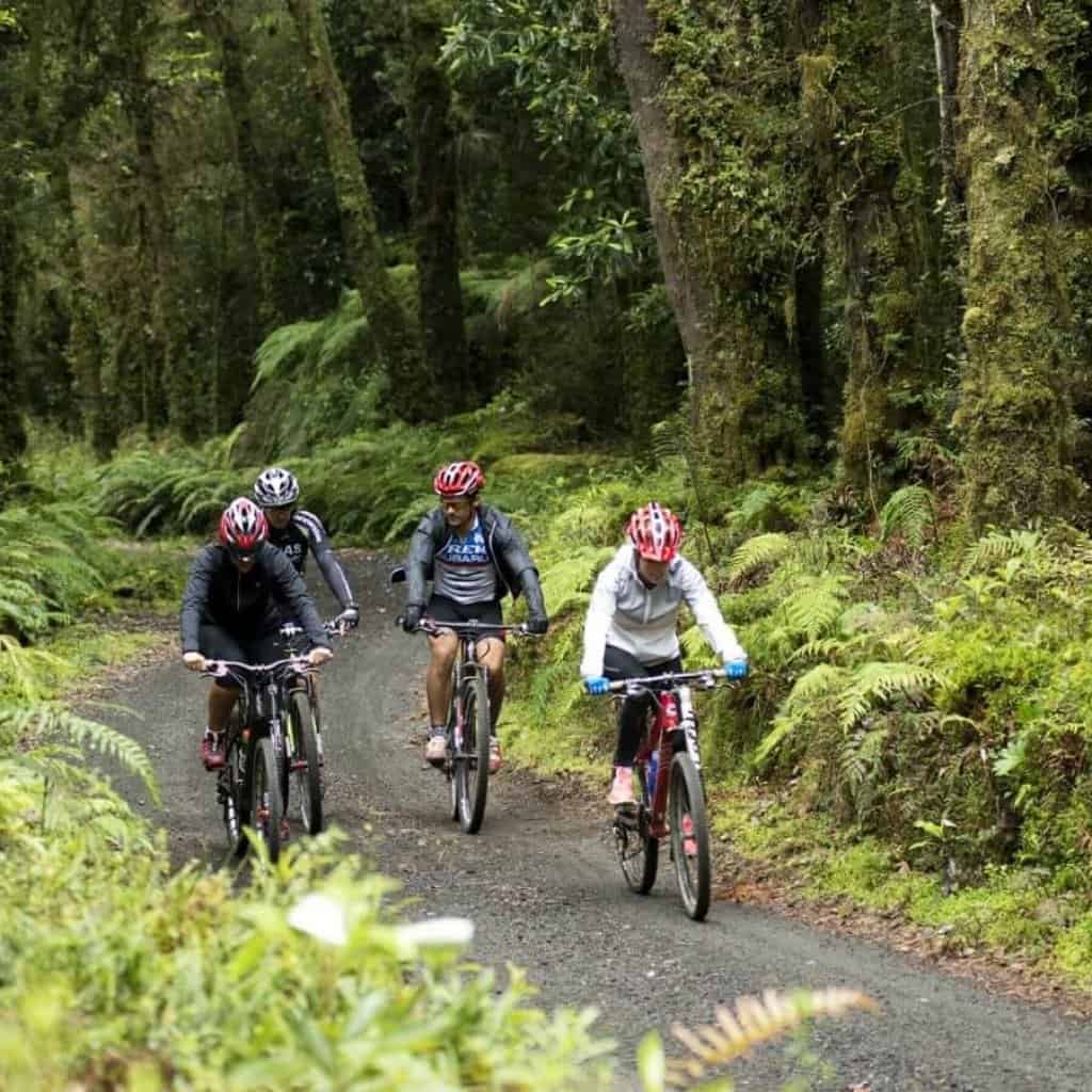 Grupo de personas haciendo una excursion en bicicletas